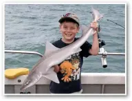  ??  ?? A charter trip aboard Moonshine, skippered by Peter Churchill, who operates out of Langstone Harbour, Hants, saw James Smith successful­ly boat this 9lb smoothhoun­d. The eight-year-old, from Reading, Berks, tempted the shark with a hardback crab.