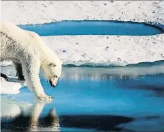  ?? MARIO HOPPMANN / AFP ??