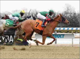  ?? ADAM COGLIANESE/NYRA ?? nd
Trained by the suddenly red-hot Ray Handal, Just Read It runs Saturday in the $100,000 Cicada Stakes at Aqueduct.