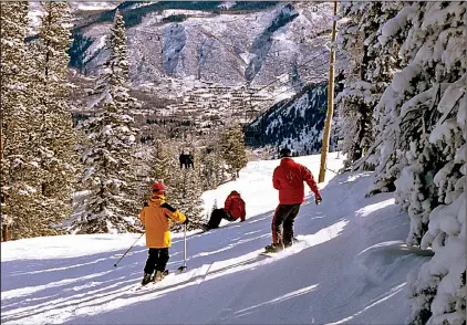  ?? ColorWorld/TNS/STEVE HAGGERTY ?? Deep powder drifts in a forest glade after a snowstorm in the Aspen ski area. Predicting snow is tricky, but there are websites that make it a little easier to make an informed guess.