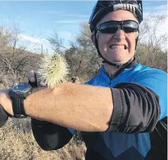  ??  ?? Our guide, Phil Richards, took one for the team and demonstrat­ed why we should avoid the cholla cactus in the Sonoran Desert. But the risks you take in the desert are worth the spectacula­r scenery around every bend.