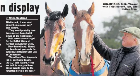  ??  ?? CHAMPIONS: Colin Tizzard with Thistlecra­ck, left, and Native River