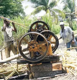  ??  ?? A culture barrier is affecting Chinese investors in Jamaica’s sugar industry.