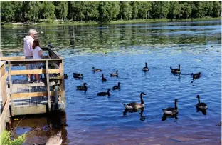  ?? ?? Lördag kring Svarte mosse innebär naturvandr­ing med aktivitete­r.