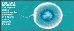  ??  ?? FERTILITY SYMBOLS: The algebra above describes the efficiency of a sperm moving towards the egg