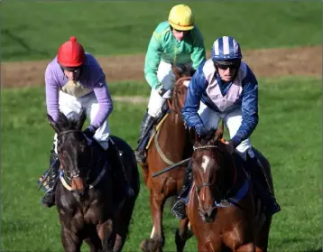  ??  ?? Rocco and Barry O’Neill (right) winning the first race in Fairwood Park, Tinahely, on Sunday.