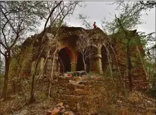  ??  ?? Malcha Mahal: “spare, medieval grandeur” in a forest in Delhi