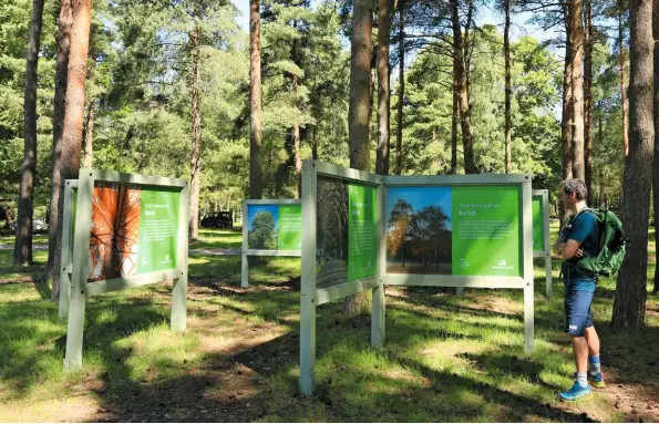  ??  ?? LEARNING…
Informatio­n boards at High Lodge tell the story of Thetford Forest and its tree species, which include Corsican pine, Douglas fir, larch, birch, lime, red oak and maple.