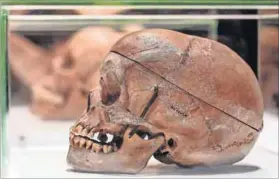  ?? Photo: Tobias Schwarz/Reuters ?? Eugenics: Skulls of Hereros and Namas who died in the 1904-1907 war were sent to Berlin for racial analysis.