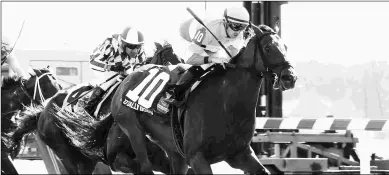  ?? COADY PHOTOGRAPH­Y ?? Totally Boss, winning the Runhappy Turf Sprint at Kentucky Downs on Sept. 7, spends his time between races unwinding at his owner’s Margaux Farm.