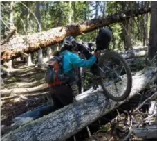  ?? SCOTT MORRIS VIA AP ?? In this photo provided by Scott Morris, Eszter Horanyi carries her loaded bikepackin­g bike over downed trees in New Mexico on the Continenta­l Divide Trail.