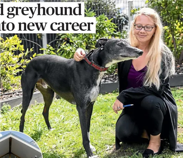  ?? DAVID UNWIN/STUFF ?? Senior registered nurse Cushla Barnes and clinical nurse manager Peter de Roo work have helped give Andrew de Dog a forever home alongside 15 long-term patients and staff at Stanford House.