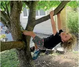  ??  ?? East Harbour Kindergart­en children are encouraged to climb trees to build muscle and learn how to manage associated skills from the risktaking activity.