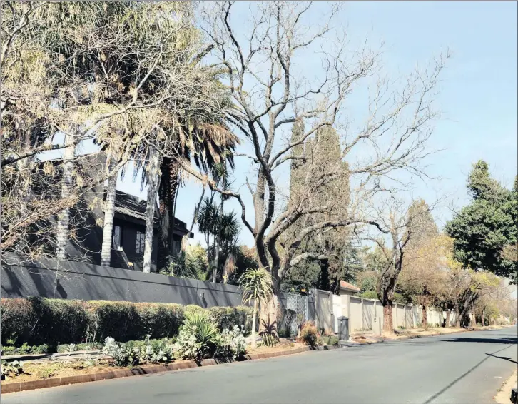  ??  ?? Many homes in Emmarentia, which is centrally located, have been modernised. Homes situated in the quieter streets are particular­ly sought-after. PICTURES: KAREN SANDISON/AFRICAN NEWS AGENCY