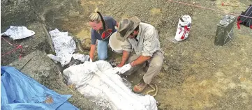  ??  ?? Photo shows DePalma (right) and field assistant Kylie Ruble as they excavate a slab of fossils from the Tanis deposit. — AFP photo