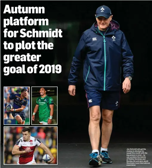  ??  ?? Joe Schmidt will get the chance to develop his squad this month with the big picture in mind – he can combine the talents of Robbie Henshaw and Bundee Aki and give Jacob Stockdale more internatio­nal experience