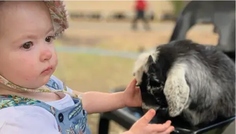  ?? Photos: Contribute­d ?? FAMILY-FRIENDLY FUN: Penny Ferguson meets a new animal friend at the Jondaryan Woolshed’s 2019 Spring Heritage Festival.