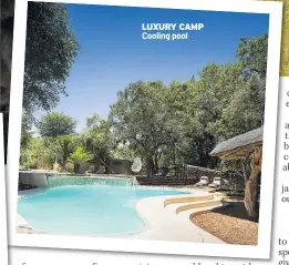  ??  ?? LUXURY CAMP Cooling pool