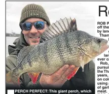  ??  ?? ® PERCH PERFECT: This giant perch, which weighed 4lb 14oz, was landed by Simon Ashton. The stripey took a lure during Simon’s short holiday on Holland’s vast lake system