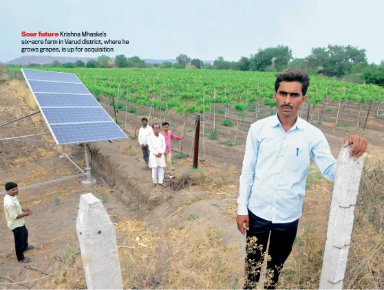  ?? MANDAR DEODHAR ?? Sour future Krishna Mhaske’s six-acre farm in Varud district, where he grows grapes, is up for acquisitio­n