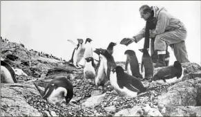  ?? — AP ?? In this 1957 photo, Prince Phillip feeds a colony of penguins during a visit to the Antarctic.