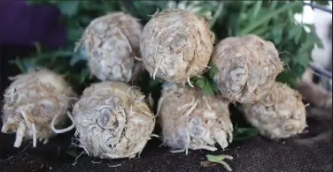  ?? Kirsten Boyner Photograph­y / Courtesy Photo ?? Despite its rough exterior, celery root can be eaten raw or cooked and is enhanced by other locally grown produce.