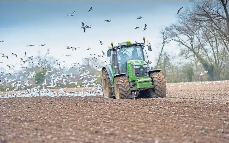  ??  ?? BENEFITS: SAOS will soon launch its CarbonPosi­tive platform to measure farming sustainabi­lity, led by Emma Patterson Taylor, pictured below.