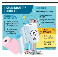 Tissue industry struggles as sales drop on price rise - PressReader