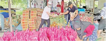  ??  ?? Junz distributi­ng food aid to his constituen­ts in Tanjung Aru.