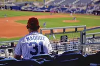  ?? CHARLIE RIEDEL/ASSOCIATED PRESS ?? A Cubs fan watches during the third inning of a spring training game Monday against the Padres in Peoria, Ariz.