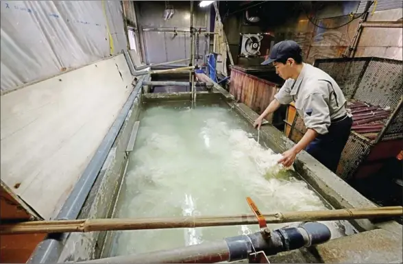  ?? KAZUHIRO NOGI/AFP ?? A worker puts steamed kozo plants in a water tank during the washi paper manufactur­ing process at the Hidaka Washi factory in Hidaka, Kochi prefecture, some 640km southwest of Tokyo.