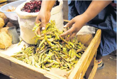  ?? PHOTOGRAPH­ER NICHOLAS NUNES/ ?? A vendor sorts gungo peas at her stall in Coronation Market in downtown Kingston.