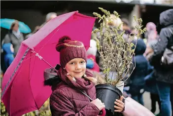  ?? RP-FOTO: RALPH MATZERATH ?? Alina und andere Erstklässl­er haben auf dem Richrather Hof der Familie Weeger ihre Pflänzchen entgegenge­nommen – ein Geschenk des Umweltschu­tz- und Verschöner­ungsverein­s Langenfeld.