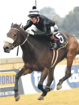  ??  ?? TALENTED. Happy Pills and Lyle Hewitson team up for what could be another success in Race 6 at Turffontei­n tomorrow.