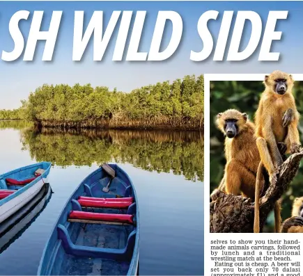  ??  ?? refreshmen­t time. Top right: Baboons are frequent visitors