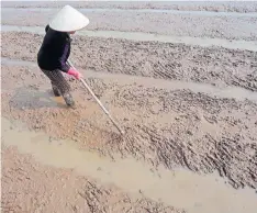  ??  ?? A farmer prepares land for rice planting in Ngoc Nu village south of Hanoi.
