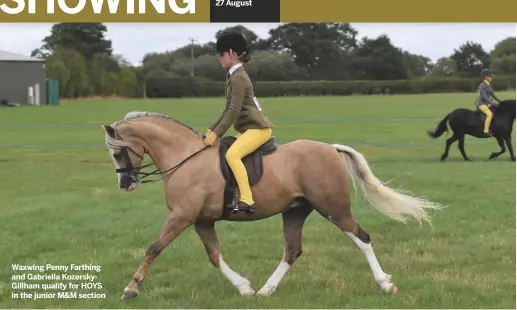  ??  ?? Waxwing Penny Farthing and Gabriella KozerskyGi­llham qualify for HOYS in the junior M&amp;M section