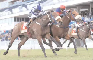  ?? PICTURE: NKOSI HLOPHE ?? Pierre Strydom claimed the gold aboard MAC DE LAGO Weiho Marwing lodged an objection at Greyville yesterday. (left) in the Gr1 Rising Sun Gold Challenge after trainer