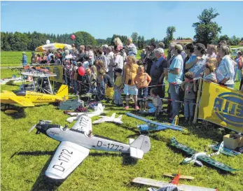  ?? FOTO: SEGELFLIEG­ER ?? Wangener Modellflie­ger bieten ein großes Programm an.