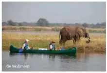  ??  ?? On the Zambezi