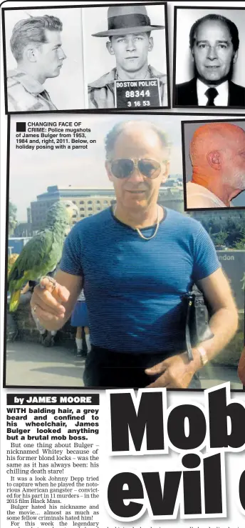  ??  ?? ®ÊCHANGING FACE OF CRIME: Police mugshots of James Bulger from 1953, 1984 and, right, 2011. Below, on holiday posing with a parrot
