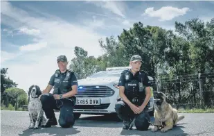  ??  ?? Members of the modern day Sussex Police dog unit, which has changed considerab­ly over the years