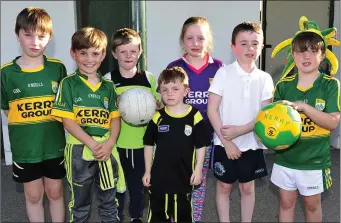  ??  ?? From left to right Kerry fans Jonathon Galvin, John Henderson, Ogie O`leary Griffin, Sineád Galvin, Ruben O`Leary Griffin, Bryan O`leary, and Jaden Foley having a great night attending the Kerry GAA Race of Champions Finals Night at the Kingdom Greyhound Stadium on Friday nightPhoto­s by deniswalsh­photograph­y.com