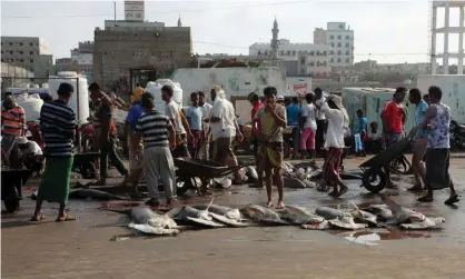  ??  ?? Fishermen selling their catch in Hodeidah, which the UN special envoy describes as the centre of gravity for the war in Yemen. Photograph: AFP/Getty Images