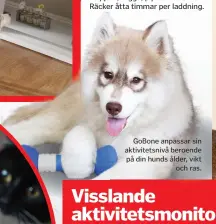  ??  ?? GoBone anpassar sin aktivitets­nivå beroende på din hunds ålder, vikt
och ras.