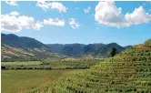  ??  ?? Sloping terraced vineyards of Colchagua Valley DO — Ti Gong