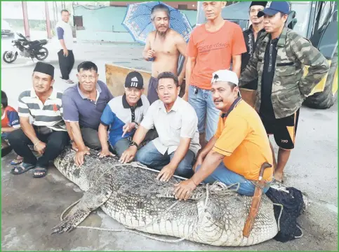  ??  ?? (Squatting, from right) Gobek, Jamil and Sujai pose for a photo with the captured crocodile together with several villagers. – Photo courtesy of Jamil Abong.