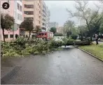  ??  ?? 1Em Setúbal, veículos ficaram dest r uí dos 2 Em Faro, árvores cortaram vi a 3 Andaime ruiu, em Setúbal
4 Em Olhão, a chuva inundou túnel
5 No Porto, de chapéu no autocarro
2