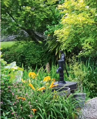  ??  ?? THIS PAGE (from top) Hydrangeas grow in front of the cottage with an elderberry tree to the left; mannequins clad in 19th century clothing inhabit the cottage during garden festivals. Yellow daylilies in front of a hand water pump restored by Leo which pumps water from the creek. OPPOSITE A gleditsia tree and maple add colour to the creek line while across the water, yellow candelabra primulas fringe its edges.