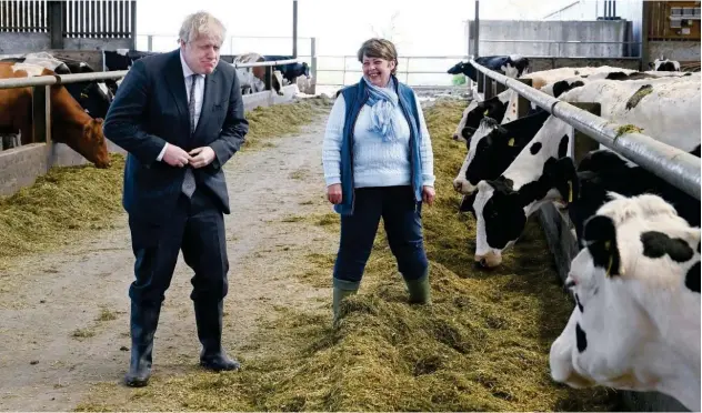  ?? Reuters ?? ↑
Boris Johnson, accompanie­d by Welsh Conservati­ve candidate Barbara Hughes, visits Moreton farm near Wrexham, Wales, on Monday.